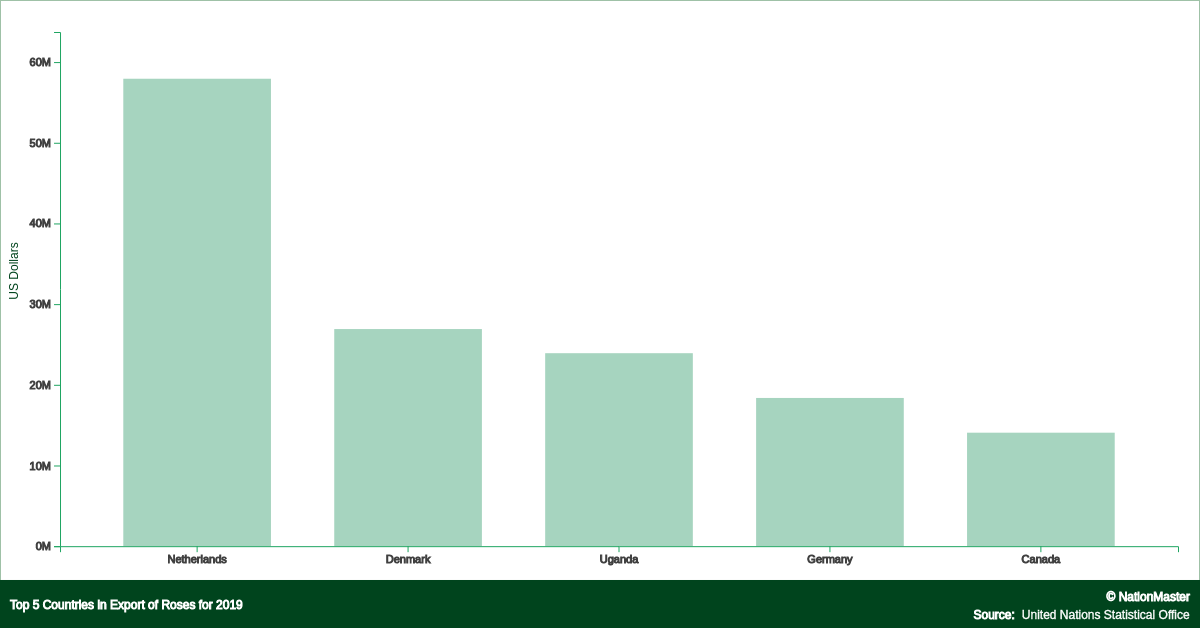 Top countries for Export of Roses